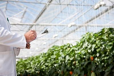 greenhouses